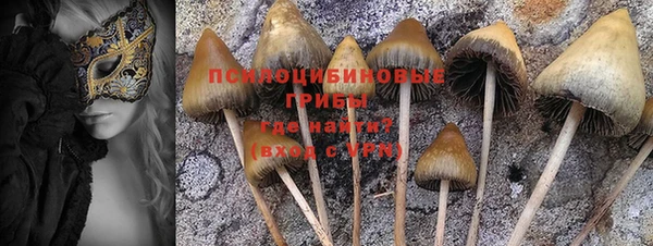 спиды Балабаново
