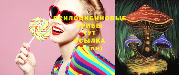 стаф Баксан