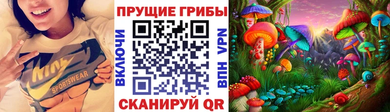 Псилоцибиновые грибы Psilocybine cubensis  наркотики  Лаишево 
